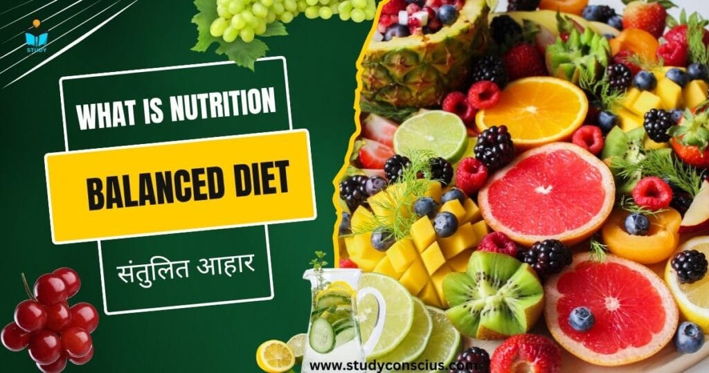 पोषण किसे कहते हैं : परिभाषा,महत्व,प्रकार, संतुलित आहार || What is Nutrition: Definition, Importance, Types, Balanced Diet.