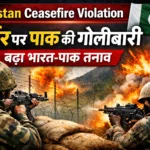 Pakistan Ceasefire Violation: बॉर्डर पर पाक की गोलीबारी, बढ़ा भारत-पाक तनाव